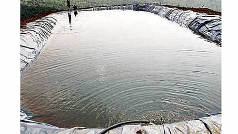 Cousin sister drowned in a farm Ponds in Sangola taluka