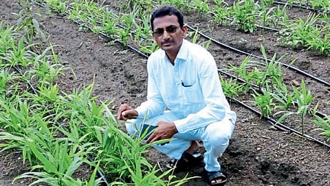 श्याम चंदरराव सोनटक्के
