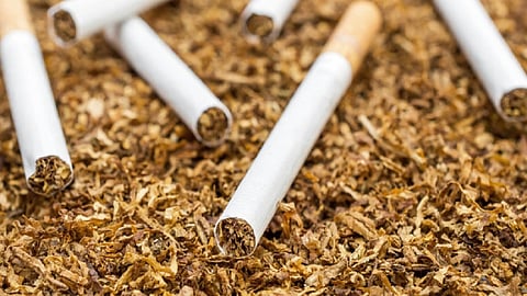 coronavirus smoking tobacco research Scientist information marathi