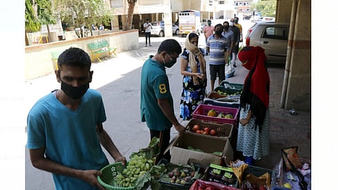 Society-Vegetable