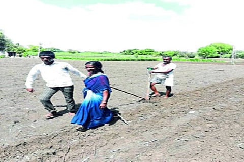 Sowing Latur News