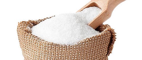 Sugar production will double by the end of November but overall yields are likely to decline