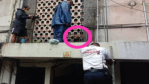 The dog trapped in a cement net was finally rescued by firefighters In pune