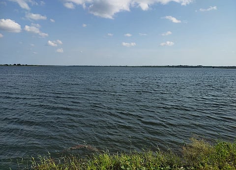Ujani backwater