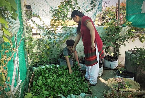 अर्बन बाग