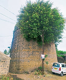 Satara