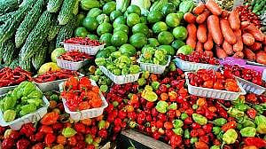 Vegetable farmers in financial crisis due to lockdown