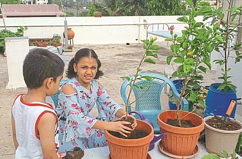 Vruksh Sanskar