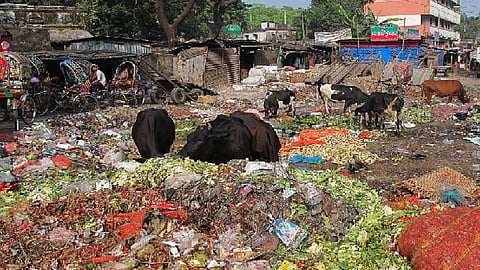 Waste of food.