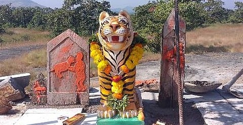 Waghbaras are done by the tribals of Akole, Nandurbar