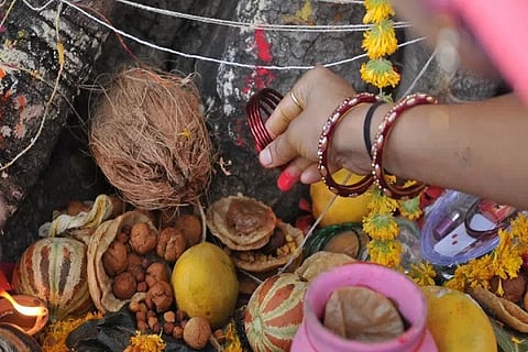 सुवासिनींचा वडाचे चित्र काढून पूजेचा निर्णय, असंख्य झाडांची कत्तल टळणार! 