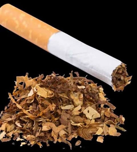 akola sales of tobacco products in school-college premises