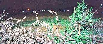 A young farmer from Mozari erected an LED light fence around the field