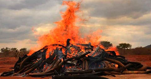 The funeral took place six days after the rumor of Corona in Yavatmal