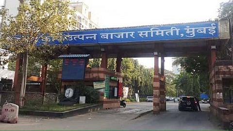 एपीएमसी निवडणुकीसाठी 58 उमेदवार रिंगणात