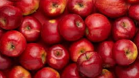 apple