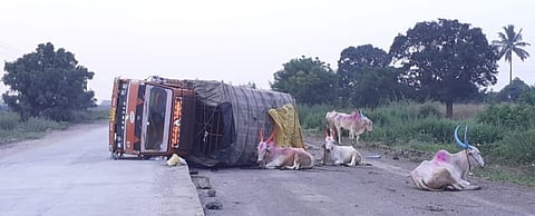 bail accident.jpg