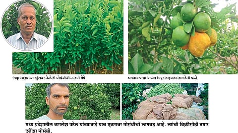 bhagwan-pawar