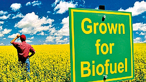 biofuel