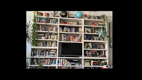 find the cat twitter fun time trying to spot feline in this viral post