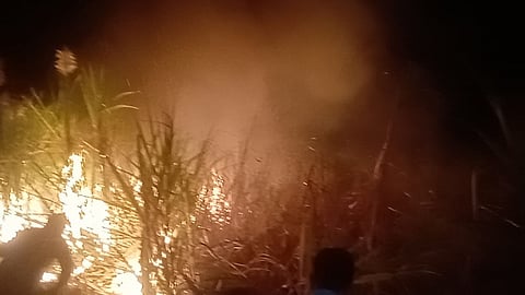 chandori fire.jpg