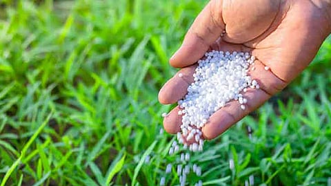 fertilizer
