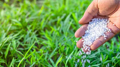 Farmers complain soybean seeds of Mahabeez did not grow abdul sattar agriculture officers akola