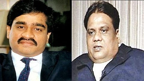 chota rajan planned to kill dawood ibrahim said ijaz lokhandwala