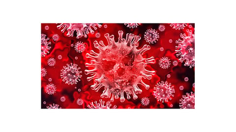  coronavirus impact sindudurg closed kokan marathi news