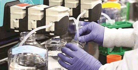 Bangalore Biocon Company are doing research corona antidote