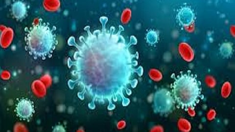 more 4  corona patient found in sindhudurg number of corona  infected 283