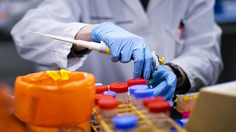 corona swab.jpg