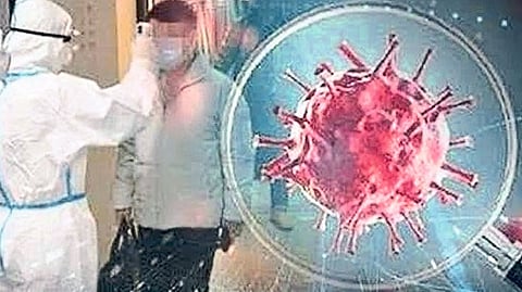 vaccination and covid test