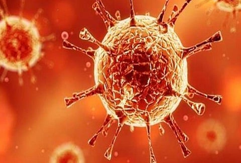 coronavirus second wave