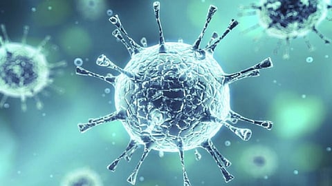 corona virus