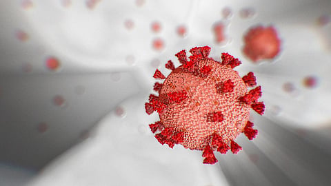 coronavirus update