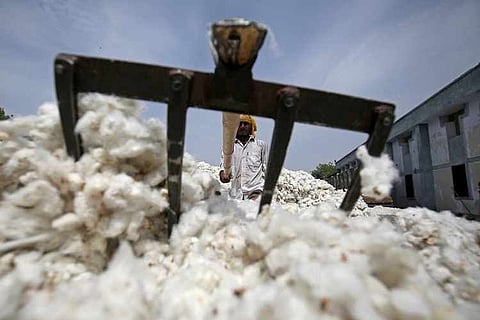 जळगाव जिल्ह्यात सोमवारपासून कापूस खरेदी सुरू 