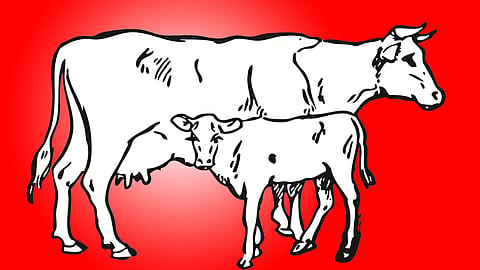 संग्रहित छायाचित्र 