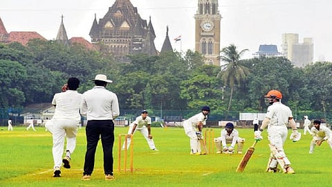 cricket