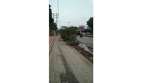 cycle-track.jpg