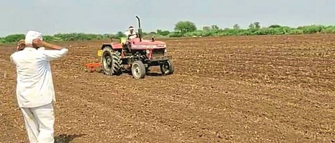 sowing of dadar