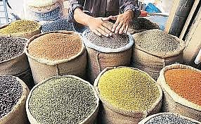 मध्य प्रदेशात गेलेल्या दोन हजार कामगारांना परत आणा...डाळ उद्योजकांचे साकडे  