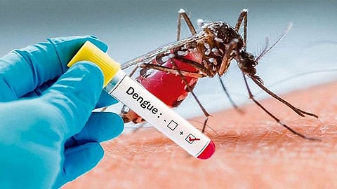 Dengue death in Ichalkaranji; Dengue has been spreading for the last few days