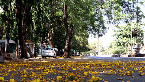 jalgaon 