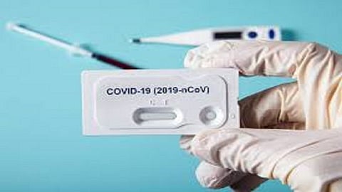 rapid testing kit