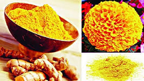 #Holi2020: घरच्या घरी 'असे' बनवा होळीचे रंग...... 