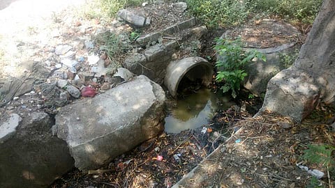 drainage