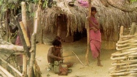 satpuda aadivasi pada