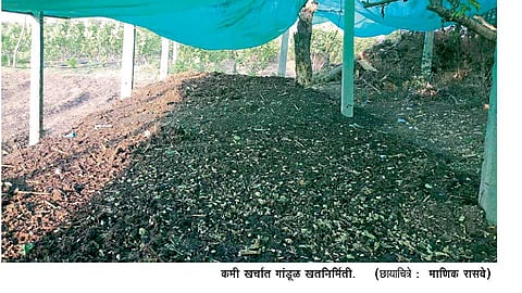 गांडूळखत व्यवसाय विस्तारातून अर्थकारण बनवले भक्कम