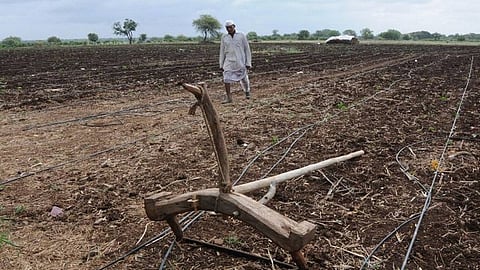 farmar